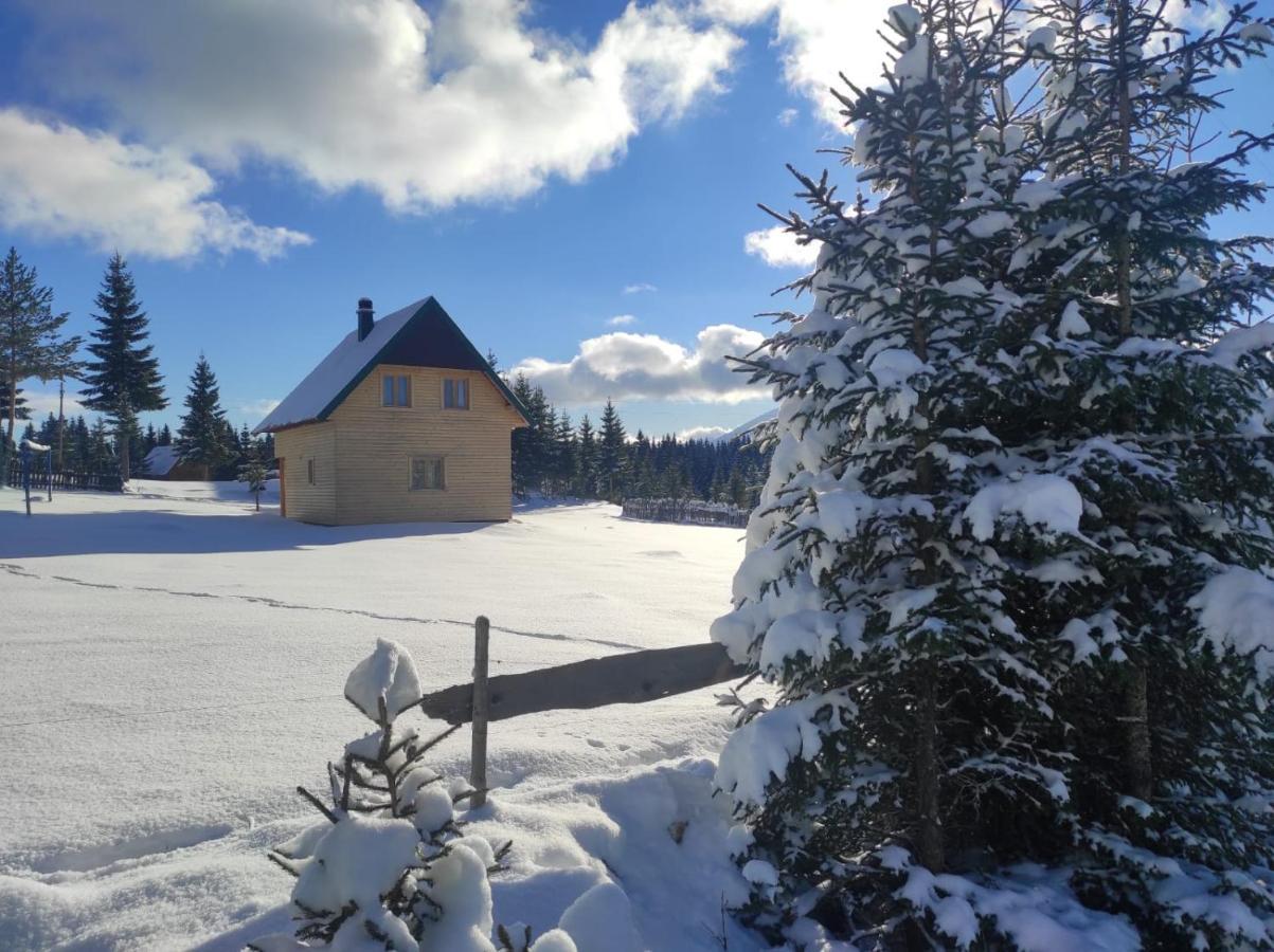 Žabljak Eco Houseヴィラ エクステリア 写真