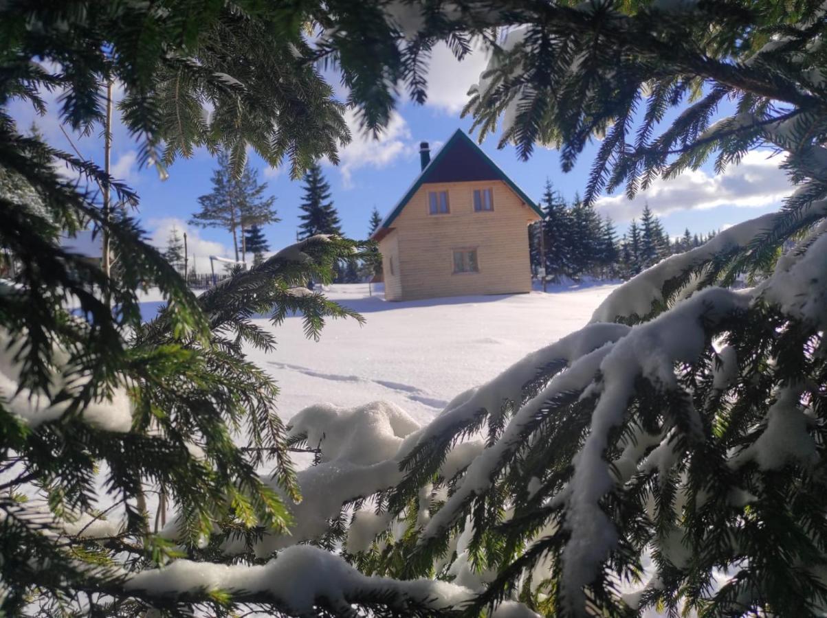 Žabljak Eco Houseヴィラ エクステリア 写真