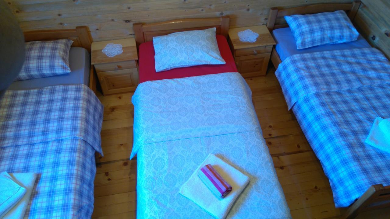 Žabljak Eco Houseヴィラ エクステリア 写真