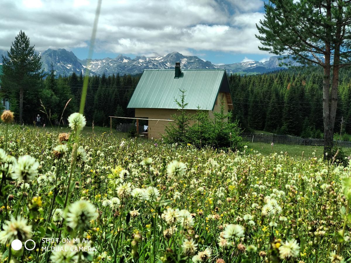 Žabljak Eco Houseヴィラ エクステリア 写真